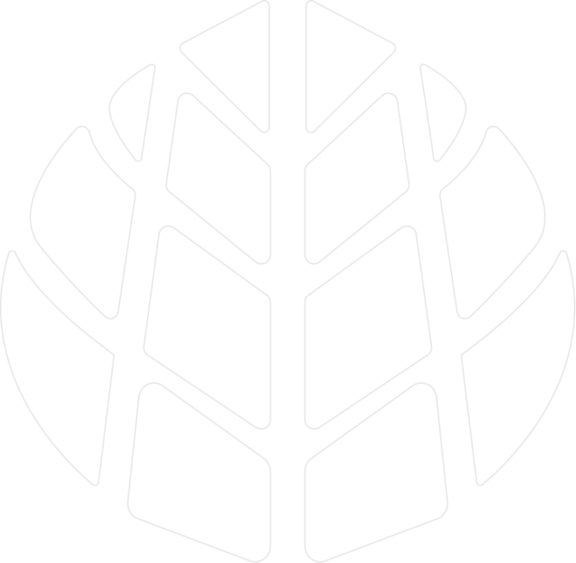 Fundo de folha verde